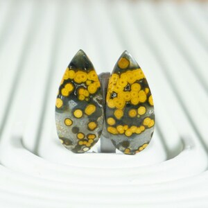 Hand-Selected Indonesian Frog Egg Jasper Pair | River Jasper Cabochons for Jewelry Artists | Top Quality