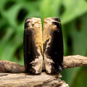 May include: Two rectangular polished gemstones featuring a high-gloss finish with a striking contrast of deep black and creamy beige patterns. The stones display organic, swirling inclusions and smooth, rounded edges, showcasing a natural stone texture.