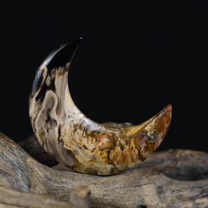 Fossil Palm Root Crescent Moon Cabochon – Polished Petrified Wood Pendant Supply