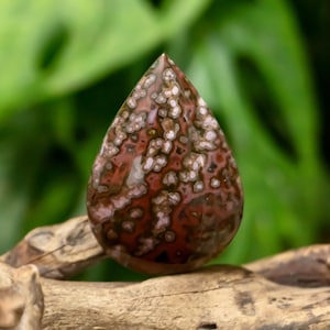 May include: A teardrop-shaped polished gemstone featuring a complex pattern of deep reddish-brown and dark green hues, accented by numerous small, circular white and light pink inclusions that create a distinct, speckled, and organic appearance.
