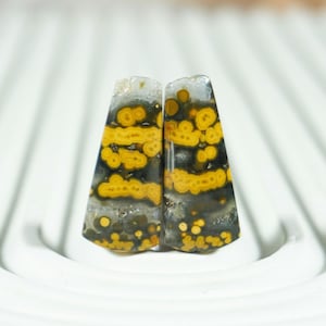Hand-Selected Indonesian Frog Egg Jasper Pair | River Jasper Cabochons for Jewelry Artists | Top Quality