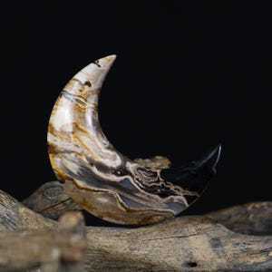 Palm Root Crescent Cabochon – Natural Fossil Stone for Artisan Jewelry