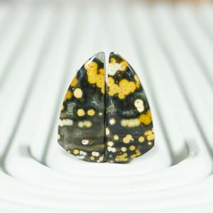 Exceptional Indonesian Frog Egg Jasper Cabochons | River Jasper Pair for Luxury Earrings | High-Caliber Gemstones