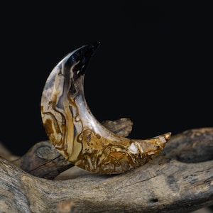 Crescent Moon Cabochon from Fossil Palm Root – Polished Pendant Stone Supply