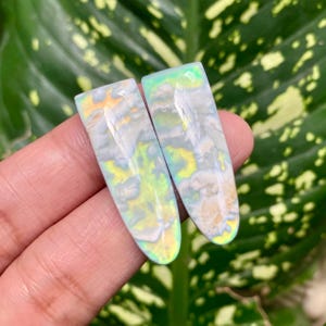 May include: Two elongated, flat, shield-shaped cabochons featuring a milky white base with swirling patterns of iridescent green, yellow, and blue hues that shift in light. The surfaces are smooth and polished, displaying a cloudy, semi-translucent appearance with vibrant, glowing color play throughout the material.