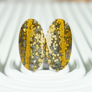 Indonesian Frog Egg Jasper Pair Cabochons | River Jasper with Superior Finish | Jewelry Making Gemstones