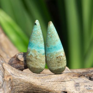 May include: Two teardrop-shaped turquoise gemstones with a natural, earthy appearance. The stones feature a blend of blue, green, and brown hues, with a textured surface. They are displayed on a piece of driftwood against a blurred green background.