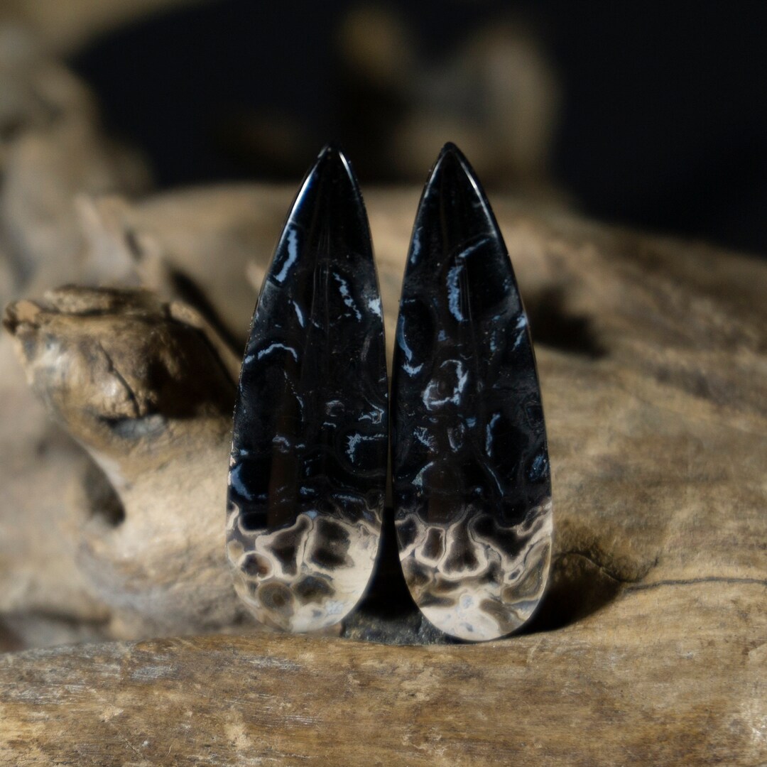 Hand-cut Fossil Palm Root Matched Pair Cabochons Striking Patterns ...