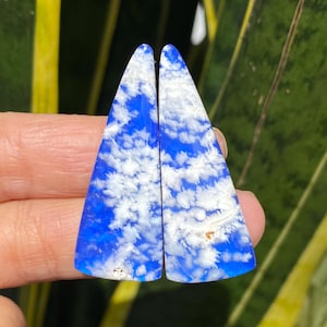 May include: Two triangular, polished gemstones with a vibrant blue base and white cloud-like patterns. The stones are held up against a background of green foliage. These stones could be used for jewelry making.