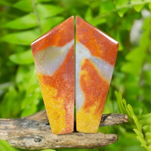 Puede incluir: Dos losas de piedras preciosas pulidas con forma trapezoidal. Las piedras presentan una mezcla de tonos naranja, amarillo y blanco, con una textura moteada. El fondo es una vista borrosa de follaje verde.