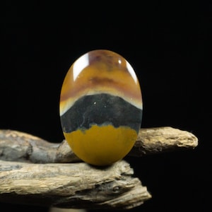 May include: Oval-shaped gemstone with a polished surface. The stone features bands of color, including shades of yellow, brown, black, and white. The gemstone is displayed on a piece of driftwood against a black background.