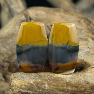 Petrified Wood Cab Pair – Natural Stone Earrings Set