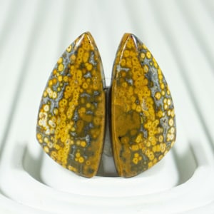 Hand-Selected Indonesian Frog Egg Jasper Pair | River Jasper Cabochons for Jewelry Artists | Top Quality