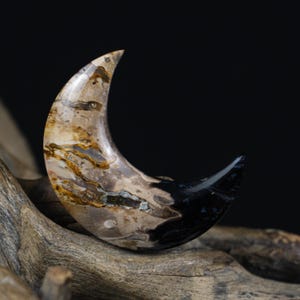 Fossil Palm Crescent Gemstone – Crescent Cab for Boho Necklace or Pendant