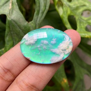 Ovale pluimagaat doublet cabochon - SKU JJDBP1058