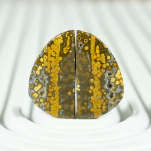 Expertly Matched Indonesian Frog Egg Jasper | River Jasper Cabochons for High-End Earring Projects