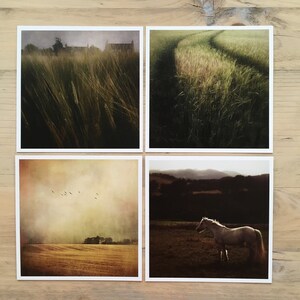 Set of 4 small Countryside/Horse Photo Prints