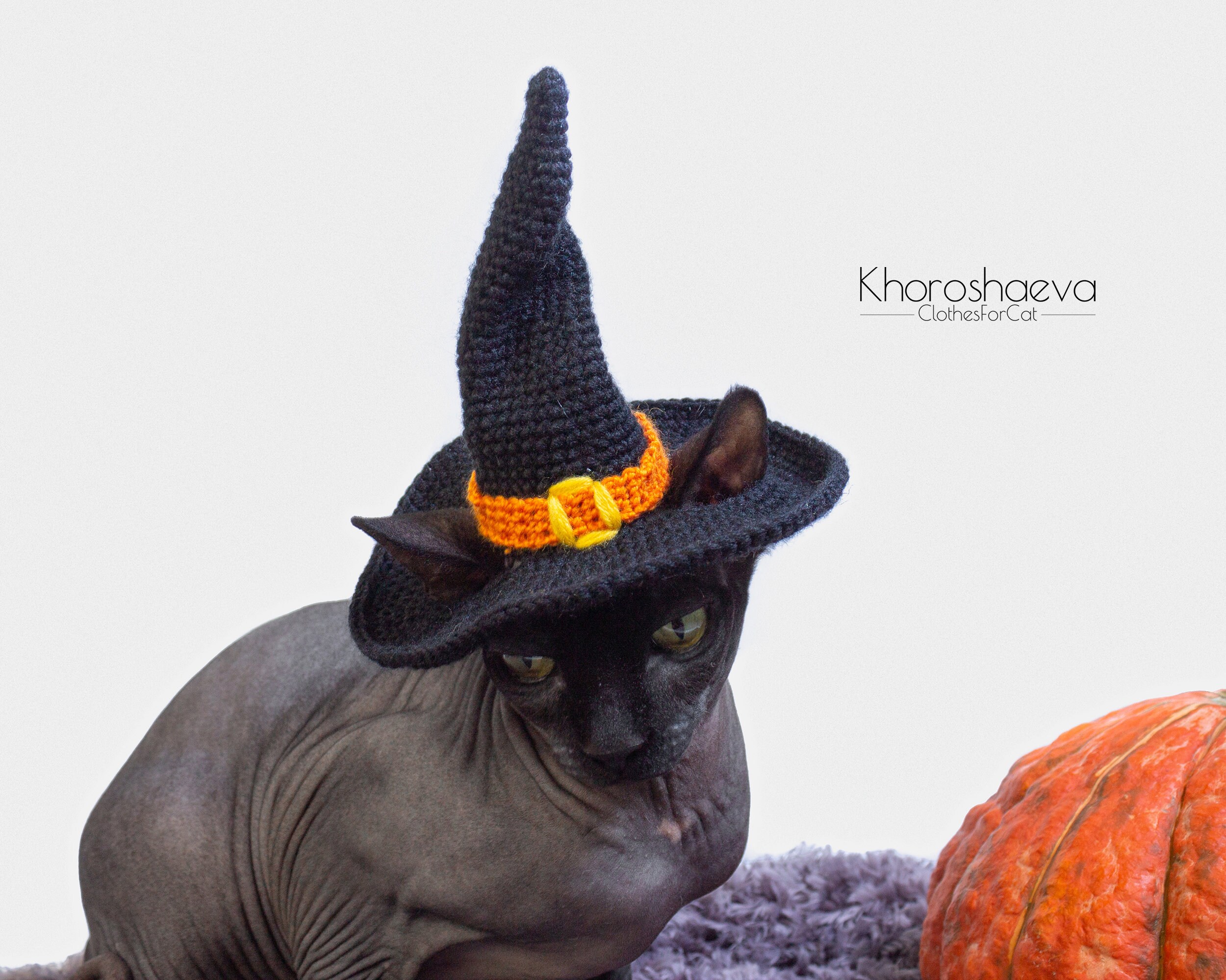 Halloween Witch Hat for cat crochet pattern Halloween costume Etsy