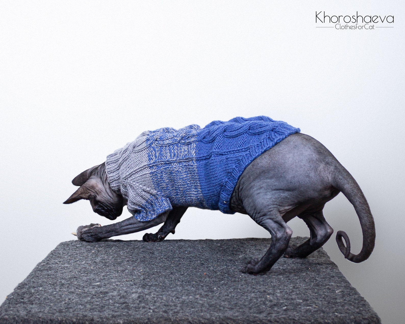 Cat Gradient Cozy Sweater Size L knitting pattern PDF Sphynx Etsy