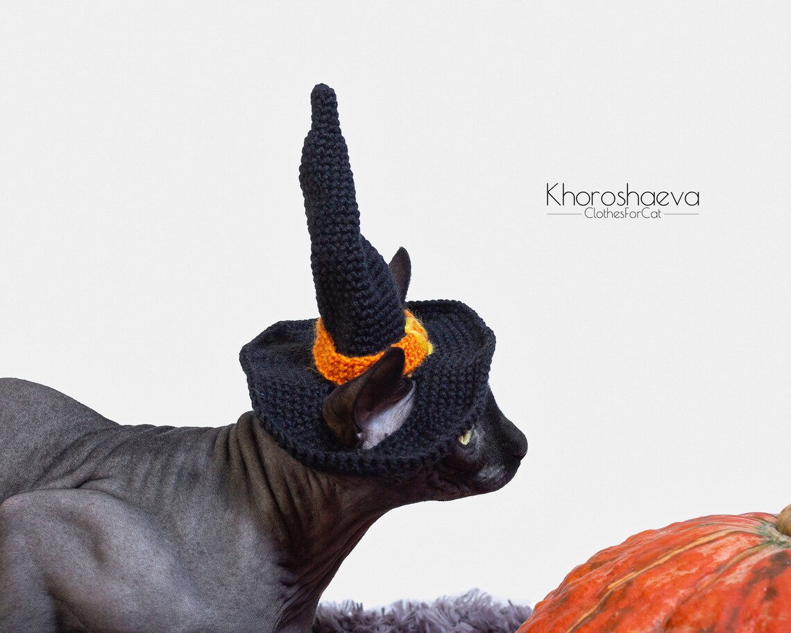 Halloween Witch Hat for cat crochet pattern Halloween costume Etsy