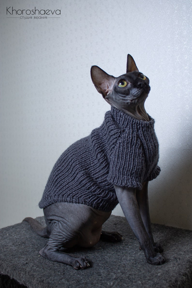 Knitted Sweater For Cat Winter Clothes For Pet Warm Cat Etsy