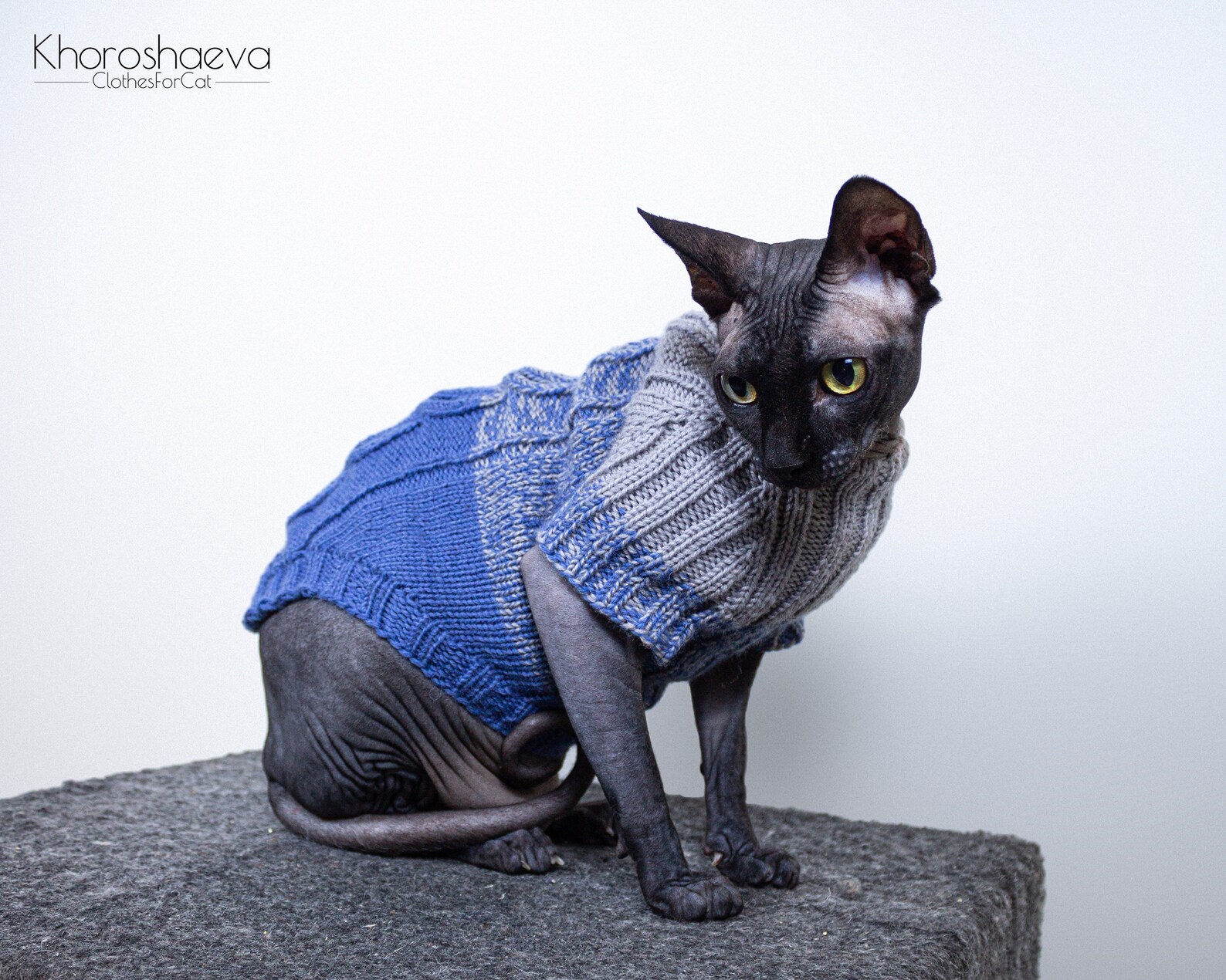 Cat Gradient Cozy Sweater Size L knitting pattern PDF Sphynx Etsy