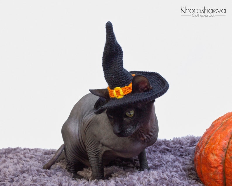 Halloween Witch Hat for cat crochet pattern Halloween costume Etsy