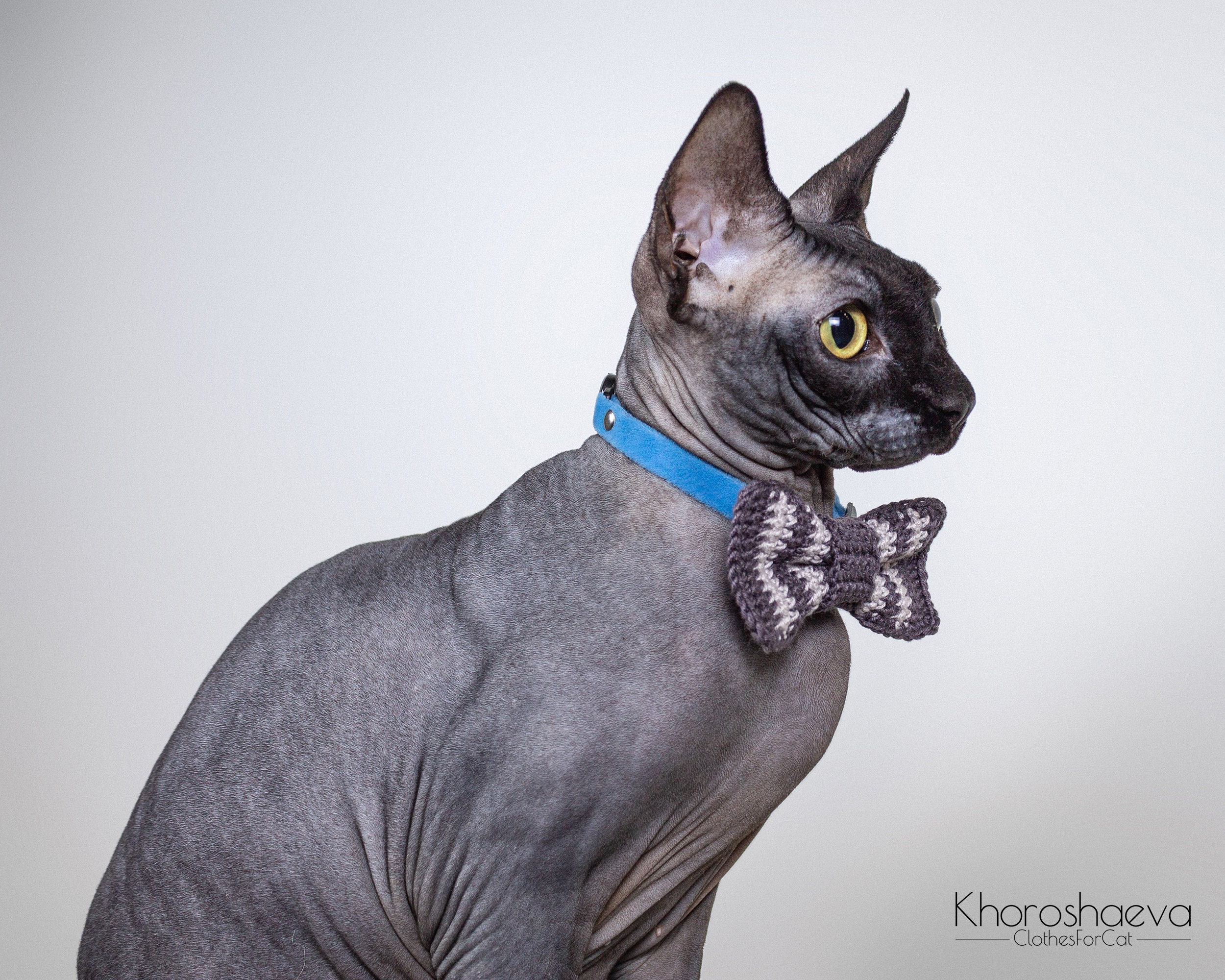 Bow tie for cat collar crochet pattern PDF// Crochet striped Etsy