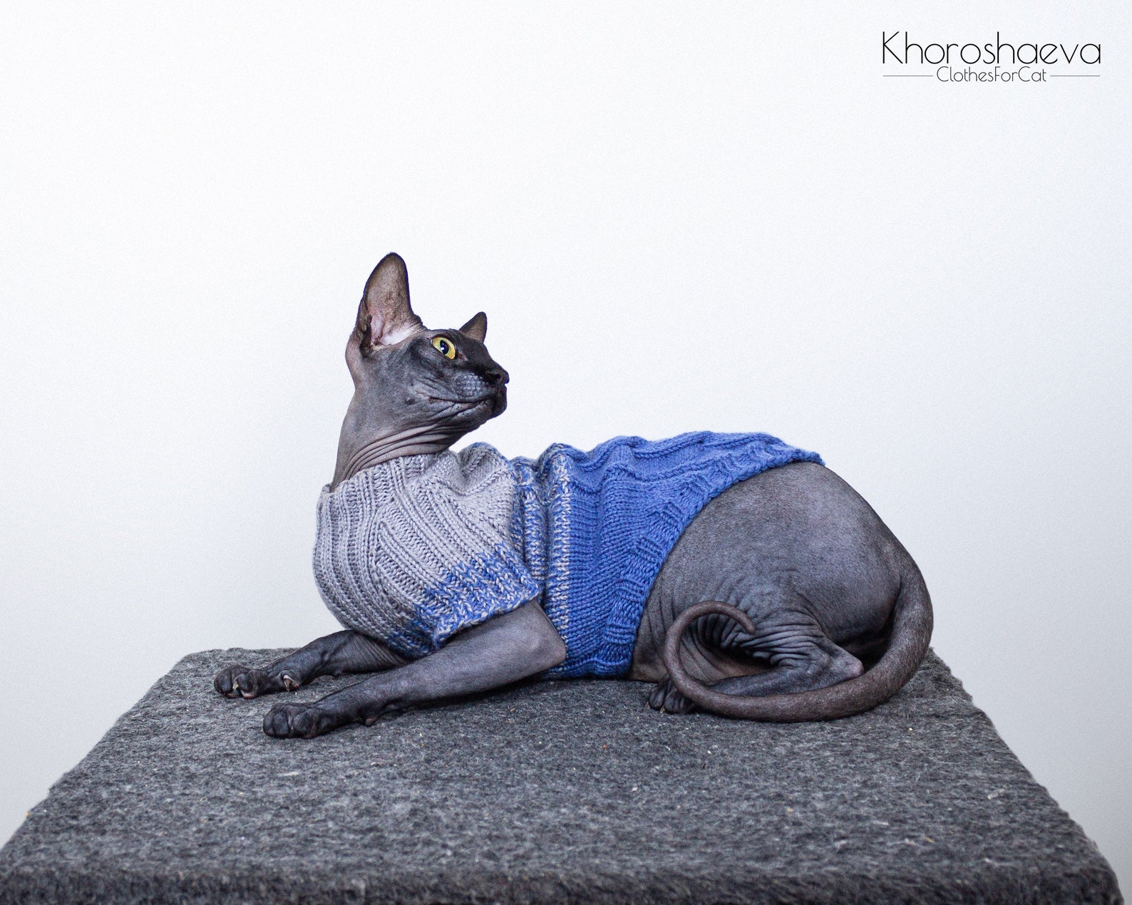 Cat Gradient Cozy Sweater Size L knitting pattern PDF Sphynx Etsy