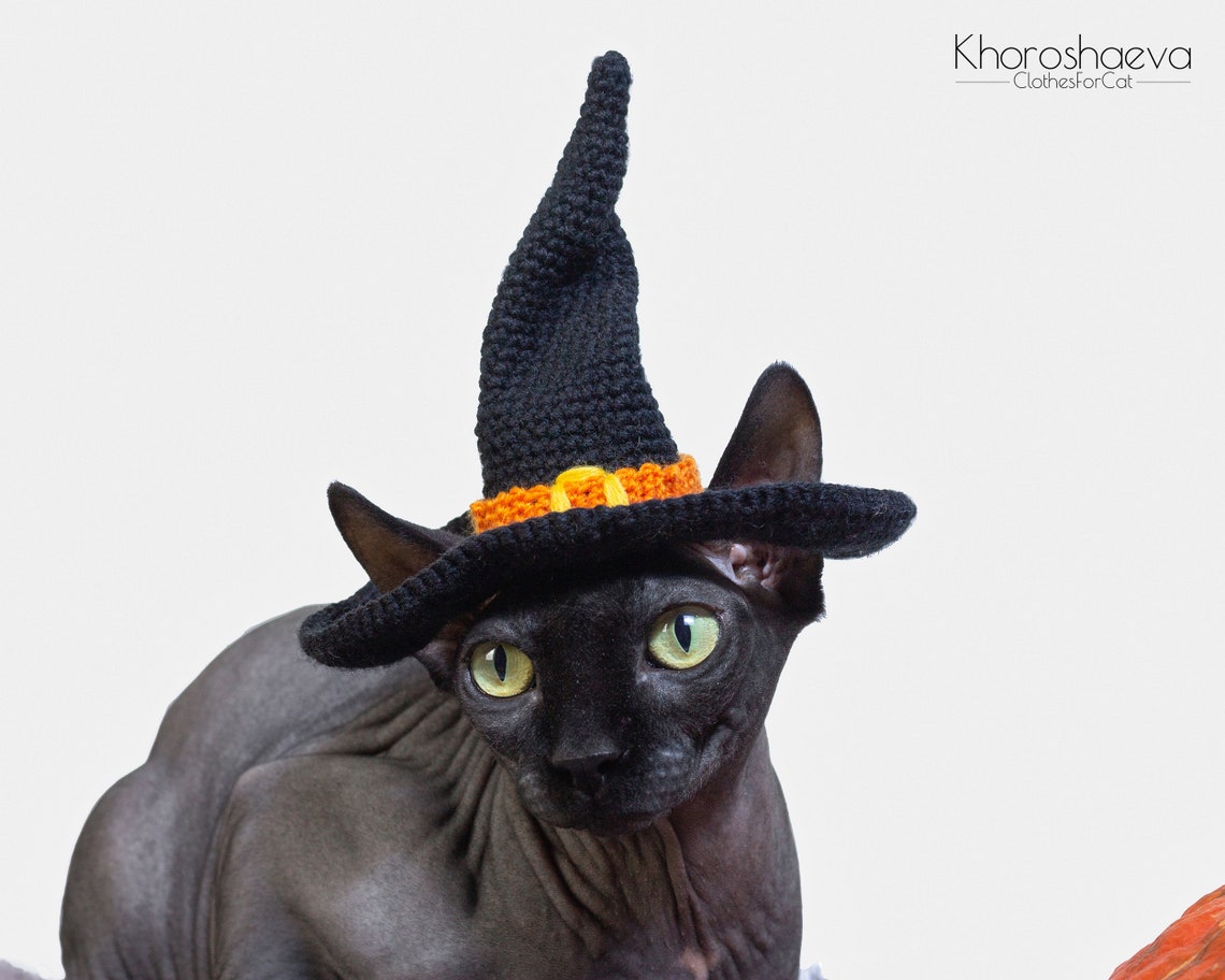 Halloween Witch Hat for cat crochet pattern Halloween costume Etsy