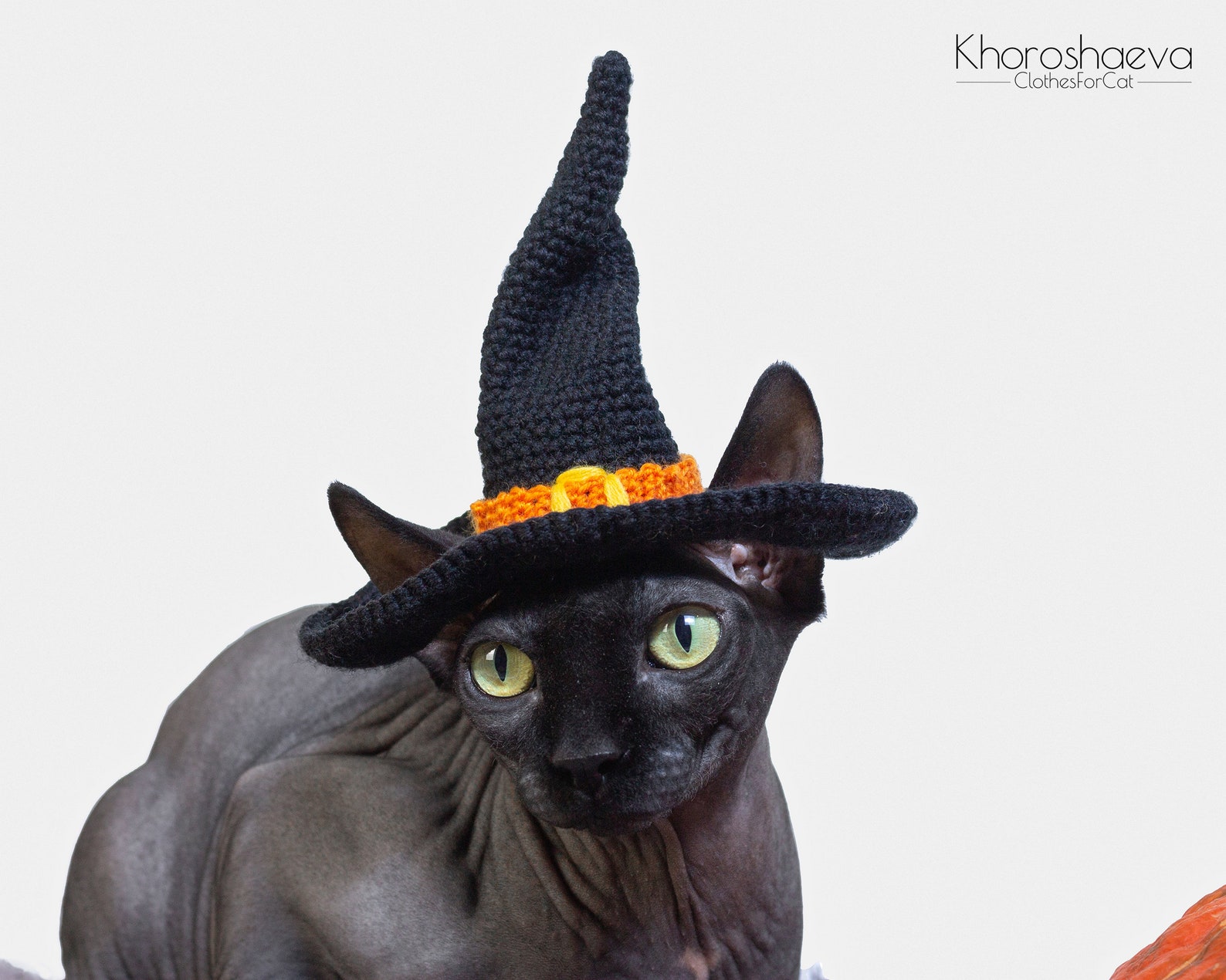 Halloween Witch Hat for cat crochet pattern Halloween costume Etsy