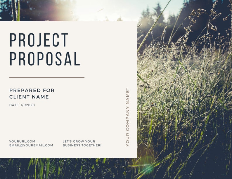 Project proposal вшэ
