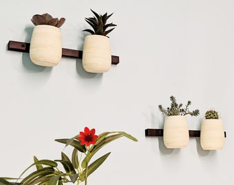 A Little Pop of Life. Mini Interchangable Wall Pots Set of 4. Simple Modern Farmhouse Ceramic & Oak Accent Piece Succulent Planters.