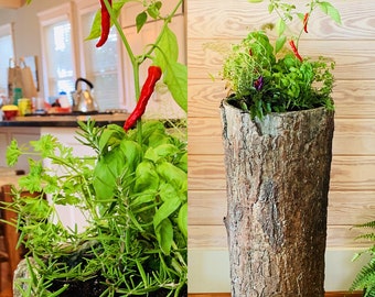 Bushy Box Kitchen & Balcony Fresh Herb Garden Planter. Unique Indoor / Outdoor Vintage Elevated Log Pot Stand for Herbs and Peppers!