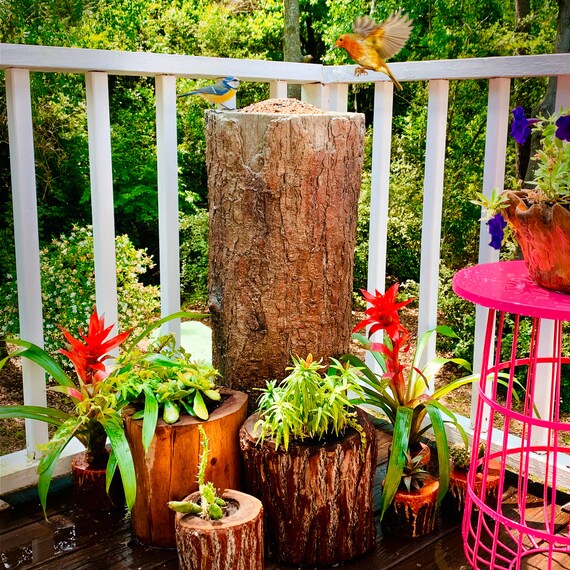 Natures Feast Wild Bird Squirrrel And Critter Feeder Tree Etsy