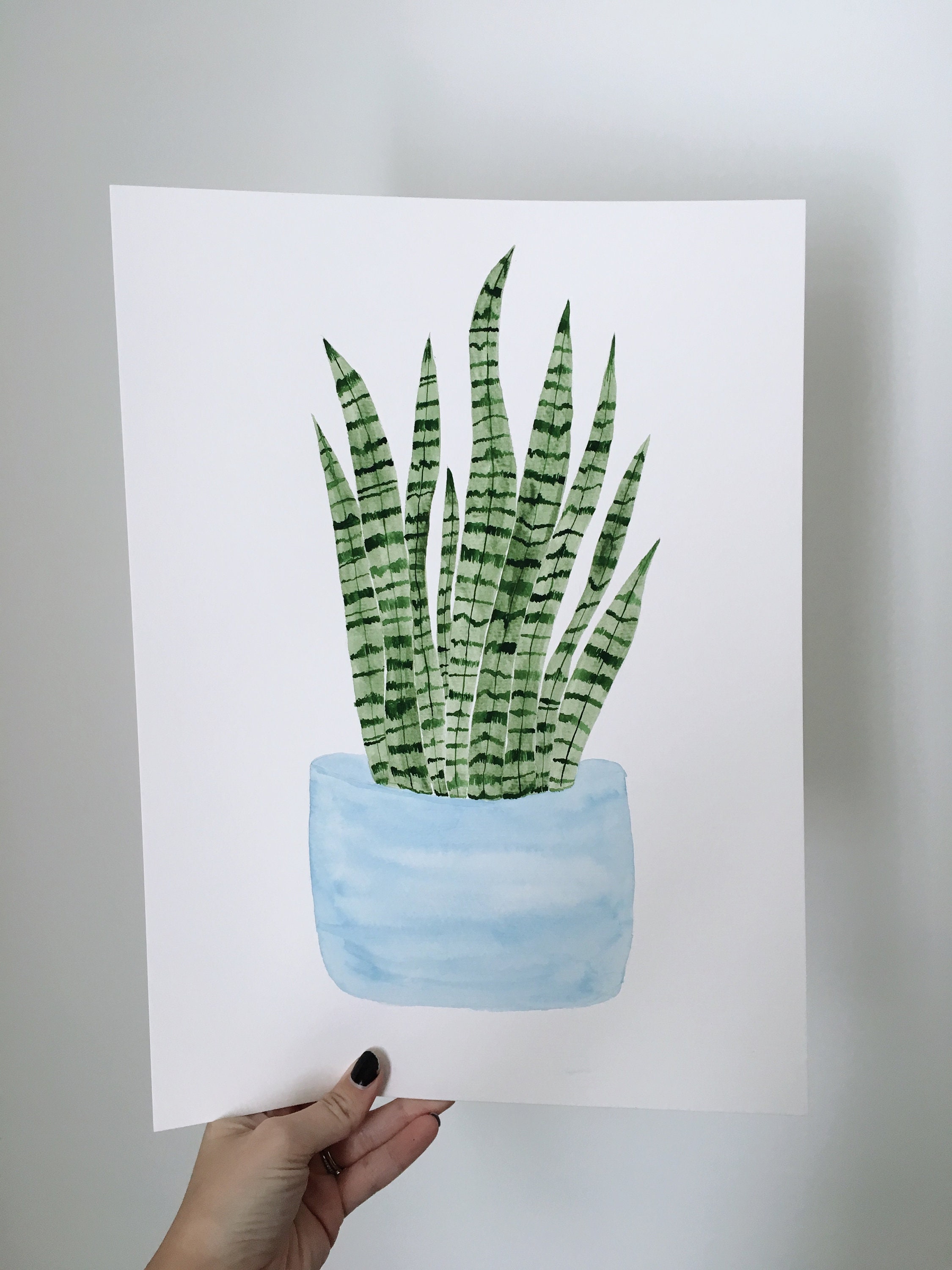 Snake Plant Etsy