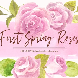 Watercolor Pink Rose Clipart, Spring floral illustration, mother&#39;s day elements, valentine&#39;s day florals instant download, commercial use