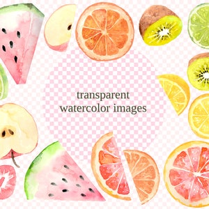 Fruit Slices illustration, watercolor png instant download, citrus orange kiwi grapefruit watermelon stickers tropical image 3