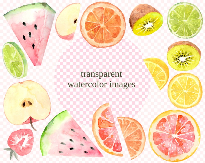 Fruit Slices illustration, watercolor png instant download, citrus orange kiwi grapefruit watermelon stickers tropical image 3