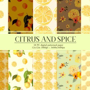 May include: A set of 10 digital patterned papers featuring watercolor illustrations of lemons, flowers, and leaves. The papers are 12x12 inches and 300 dpi, with a resolution of 3600x3600 pixels. The papers are titled "Citrus and Spice".