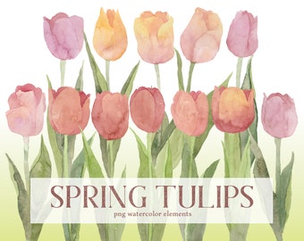 Spring Tulips Watercolor Clipart, Floral PNG, Mother's day instant download