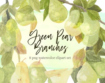 Green Pears watercolor clipart, pear branches, botanical fruit illustrations, transparent png