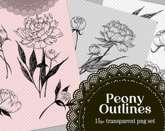 Peony Line Art Botanicals, hand drawn florals, doodle style, transparent png