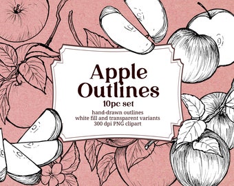 Apple Branches Outline, Apple Slice botanical illustration, upscale line drawing, farmer's market art