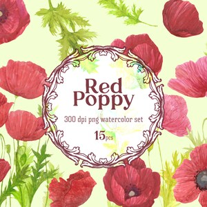 Red Poppy Aquarelle Floral PNG Clipart, Illustration botanique pour la fabrication de cartes et les petites entreprises