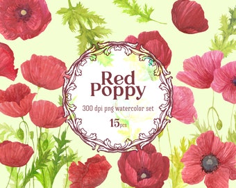 Red Poppy Watercolor Floral PNG Clipart, Botanical Illustration for Card making and small business