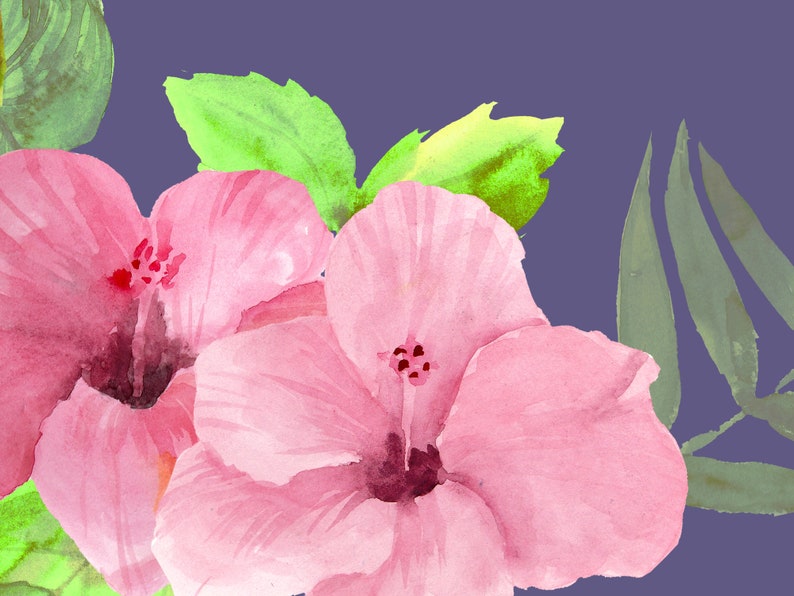 Hibisicus flower clipart instant download digital file tropical floral summer watercolor png