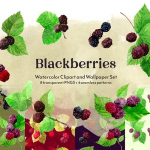 May include: Watercolor clipart and wallpaper set featuring blackberries. The set includes 8 transparent PNGs and 4 seamless patterns. The image shows a collection of blackberries with green leaves, as well as a variety of seamless patterns featuring blackberries.