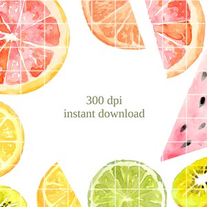 Fruit Slices illustration, watercolor png instant download, citrus orange kiwi grapefruit watermelon stickers tropical image 4