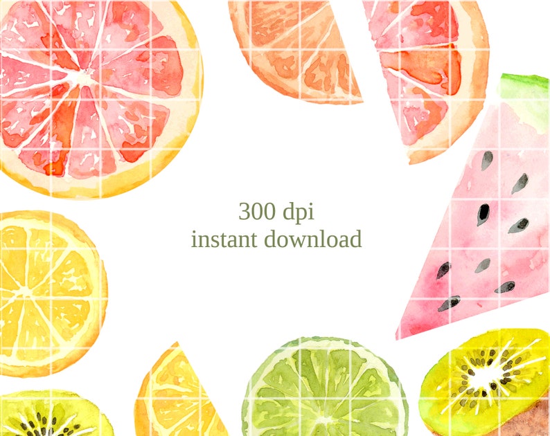Fruit Slices illustration, watercolor png instant download, citrus orange kiwi grapefruit watermelon stickers tropical image 4